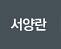 서양란